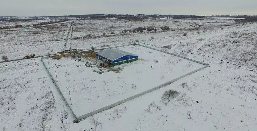 PK Vesta announces the final erection of the innovative farm for mushroom cultivation in Tula region, Russia