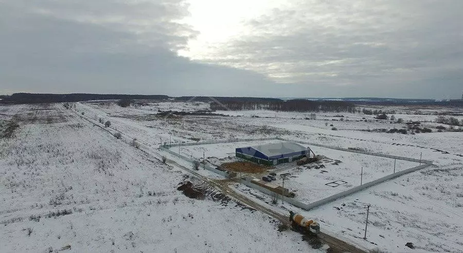 PK Vesta announces the final erection of the innovative farm for mushroom cultivation in Tula region, Russia